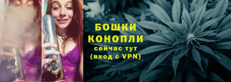 Шишки марихуана OG Kush  shop наркотические препараты  Реутов  купить  